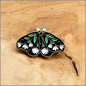 Preview: Pin "Mondmotte"