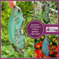 Preview: Sonnenstein / Fensterschmuck "Achat & Doppelspirale & Celtic Tribal" - Unikat