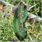 Preview: Sonnenstein / Fensterschmuck "Achat & Doppelspirale & Celtic Tribal" - Unikat