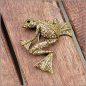 Preview: Brosche "Funkelfrosch"
