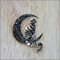Preview: Pin "Mondkatze"