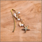 Preview: Lesezeichen „Starfish“