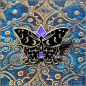 Preview: Pin "Schwarze Mondmotte"