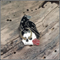 Preview: Pin "Rabe, Rose, Totenkopf"