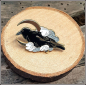 Preview: Pin "Rabe & Mondsichel"