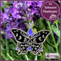 Preview: Pin "Schwarze Mondmotte"