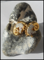Preview: Ohrclips "Seepferdchen / Pferdekopf mit Strass und Gold"