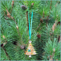 Preview: Geschenk- oder Weihnachtsbaumanhänger "Reich geschmückter Weihnachtsbaum"  in Goldgelb