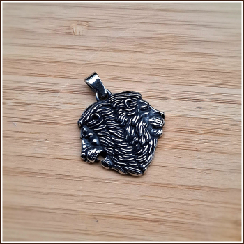 Preview: Kettenanhänger "Löwenbrüder" aus Edelstahl