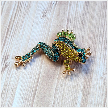 Brosche "Bunter Frosch"