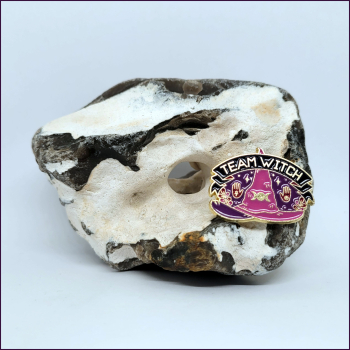 Pin "Team Witch"
