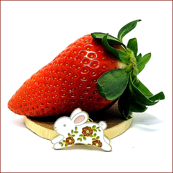 Pin "Hoppelhase"