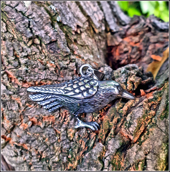 "Rabenvogel" - Kettenanhänger aus Edelstahl