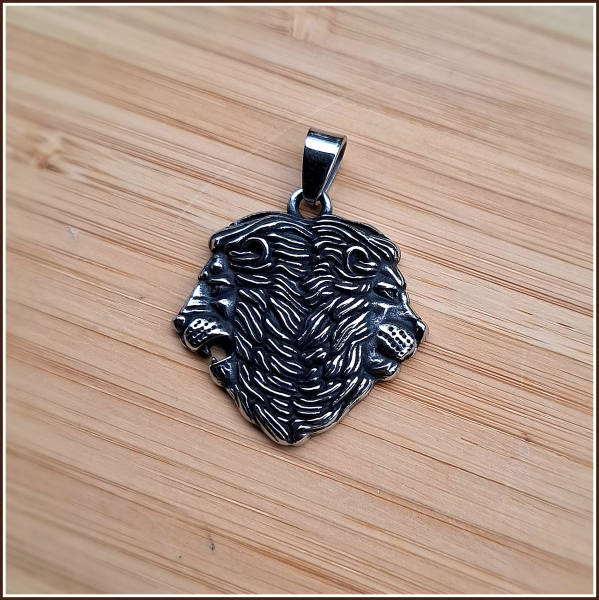 Kettenanhänger "Löwenbrüder" aus Edelstahl