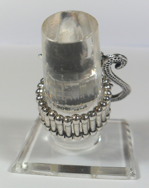 Ring mit Dehnschiene "Eidechse"